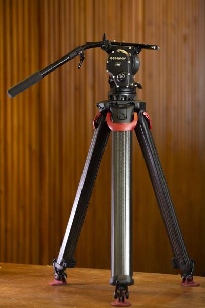 TREPIED TETE OCONNOR